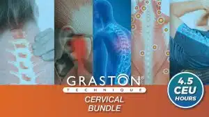 Cervical Bundle