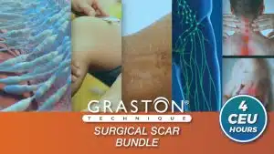 Surgical Scar Bundle