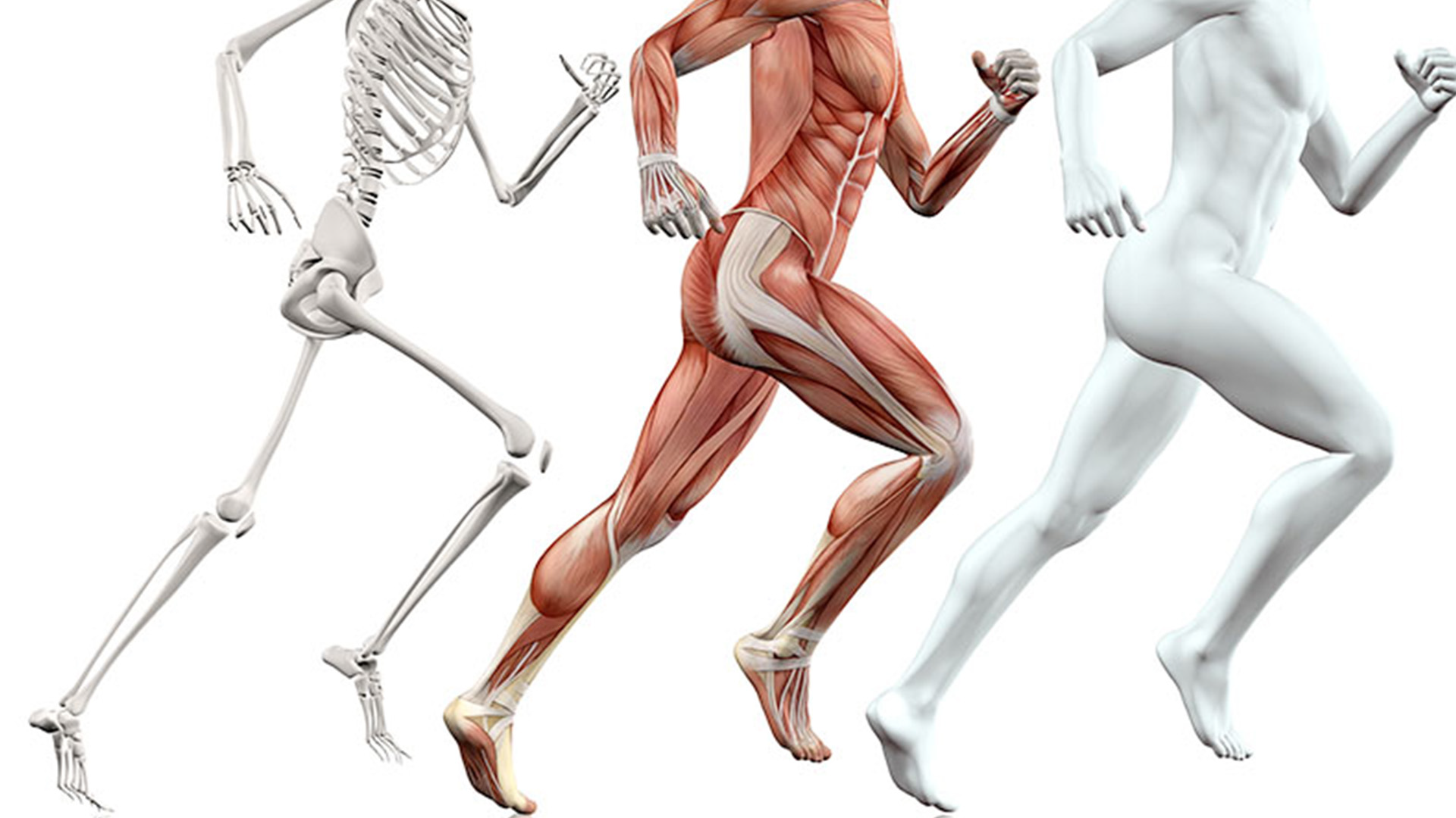 ShortCourseProductPics_-ApplicationsForRunningAnalysis